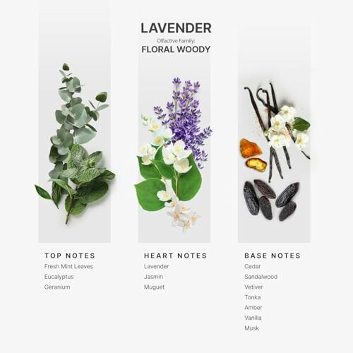 Lavender fragrance notes with top, heart, and base notes.